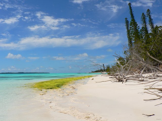 32- Plage de l'ilot Brosse, le lagon et la pointe d'Ita 